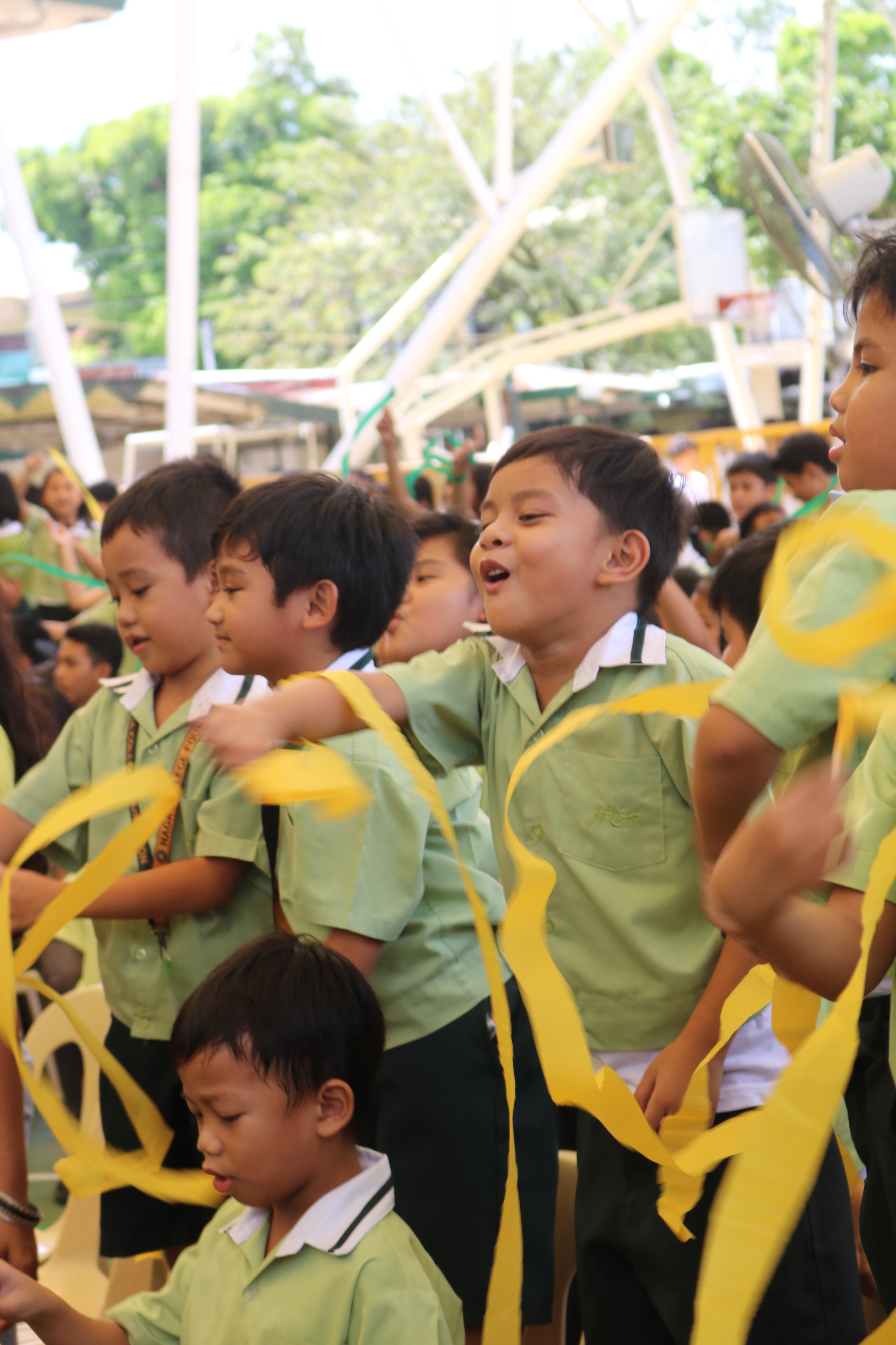 NCF Tigers Student Portal Overlay